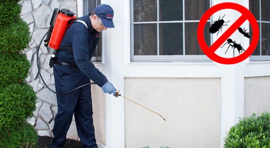 Evka 5 Böcek ve Haşere İlaçlama böcek ilaçlama ve haşere kontrolü — ilaclama-tr.com